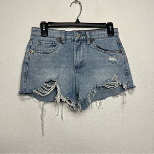 Blank NYC The Barrow Vintage High Rise Shorts
